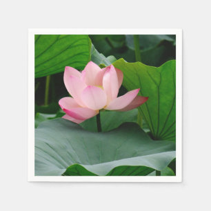 Water Lily Pink Servet