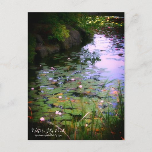 Water-Lily Pond:Briefkaart Briefkaart (Voorkant)