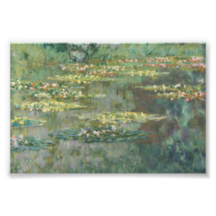 Water Lily Pond Claude Monet Foto Afdruk