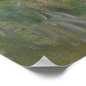 Water Lily Pond Monet 1904 Poster (Hoek)