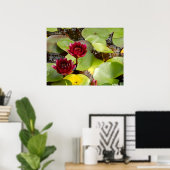 Water Lily Poster (Thuiskantoor)