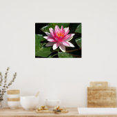 Water Lily Poster (Keuken)
