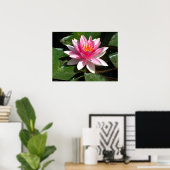 Water Lily Poster (Thuiskantoor)