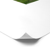 Water Lily Poster (Hoek)