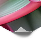 Water Lily Poster (Hoek)