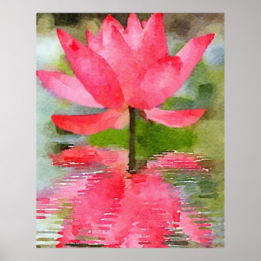 Water Lily Poster (Voorkant)