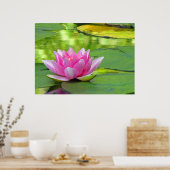 Water Lily Poster (Keuken)