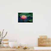 Water Lily Poster (Keuken)