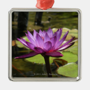 Water Lily Premium Square Ornament