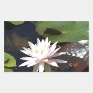 Water Lily Rechthoekige Sticker