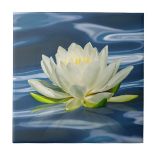 Water Lily Reflecteert op Blue Water Tile Tegeltje