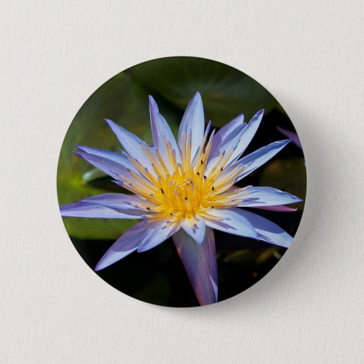 Water Lily Ronde Button 5,7 Cm (Voorkant)