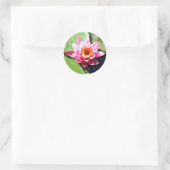 Water Lily Ronde Sticker (Tas)