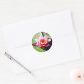 Water Lily Ronde Sticker (Envelop)
