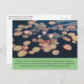 Water Lily Stillness Briefkaart (Voorkant / Achterkant)