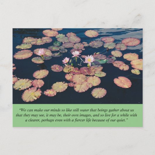 Water Lily Stillness Briefkaart (Voorkant)