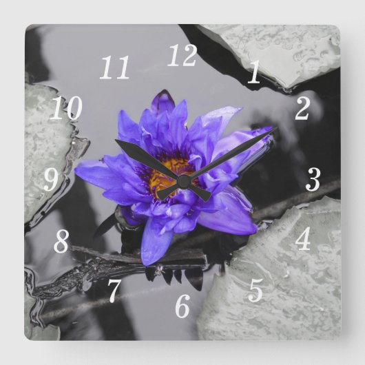 Water Lily Wall klok (Voorkant)