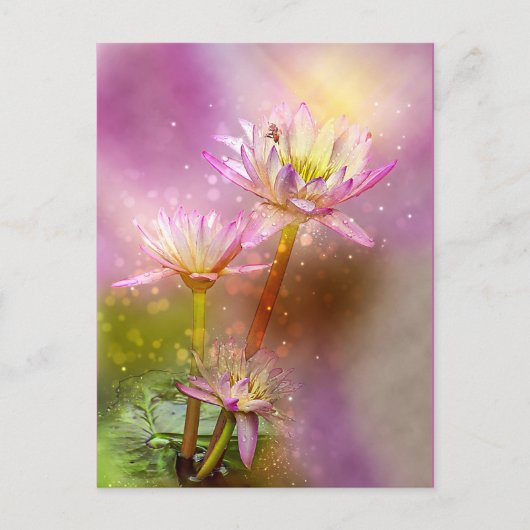 Water Lotus, exotische plant, Briefkaart (Voorkant)