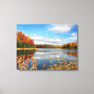 Water   Mabel Lake Canada Canvas Afdruk