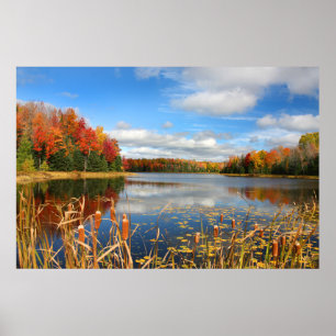 Water Mabel Lake Canada Poster