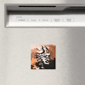 WATER MAGNEET (Insitu (Vaatwasser))