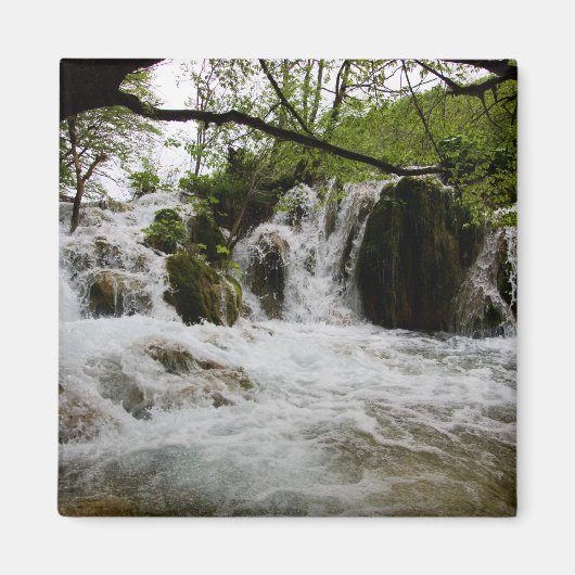 Water Magneet (Voorkant)