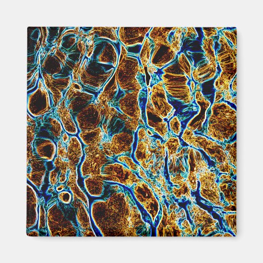 WATER MAGNEET (Voorkant)