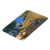 Water Melons Hamu Kenya 1995 Magneet (Linkerzijde)