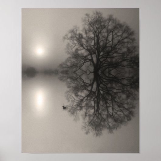 Water Oak in Morning Fog Foto Print (Voorkant)
