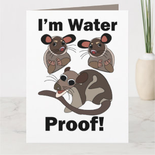 Water Opossum Ik Ben Waterdicht Grappig  Kaart