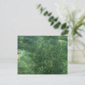 Water over Zee Grass II (Blauw en groen) Foto (Staand voorkant)