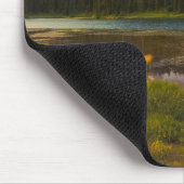 Water Rainier National Park, Washington, VS Muismat (Hoek)