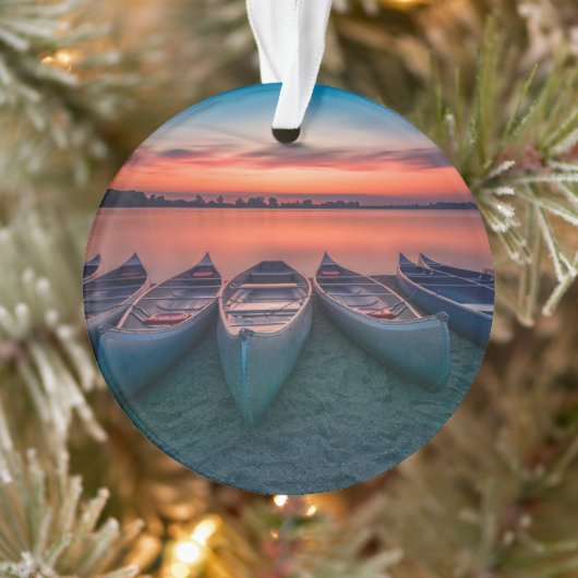 Water | St. Louis Missouri Bay (Arbre)