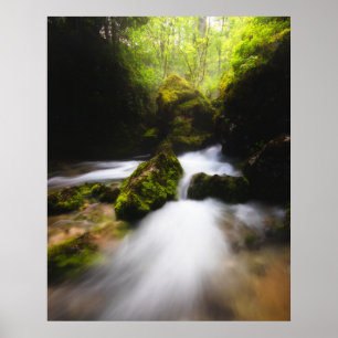 Water stroomt door betoverde mossy forest poster