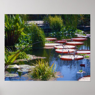 Water Tuin Foto Poster Print