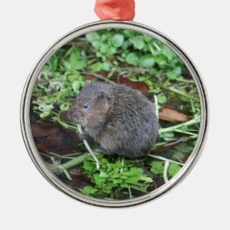 Water Vole Metalen Ornament