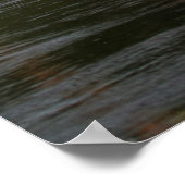 Waterafraapbare heteluchtballonnen poster (Hoek)