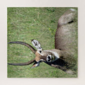 waterbad legpuzzel (Verticaal)