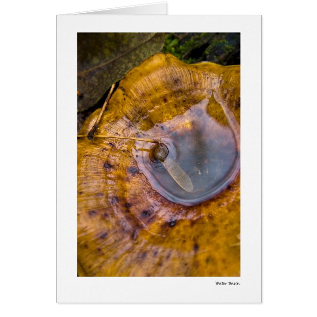 Waterbekken (Voorkant)