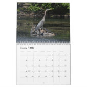 Waterbirds 4 kalender (Jan 2026)