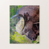 Waterbuffel Legpuzzel (Verticaal)