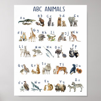 Watercolor Abc Animals Poster