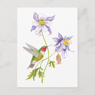 Watercolor Akelei met Kolibrie Briefkaart