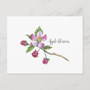 Watercolor Apple Blossom Botanical Briefkaart