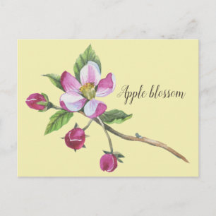Watercolor Apple Blossom Botanical Briefkaart