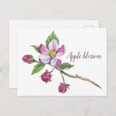 Watercolor Apple Blossom Botanical Briefkaart (Voorkant / Achterkant)