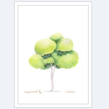 Watercolor Boom