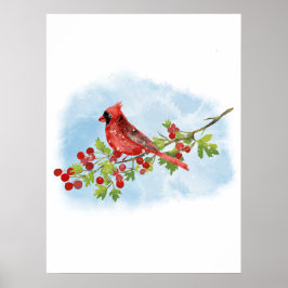 Watercolor Cardinal Bird on Berry Branch  Poster