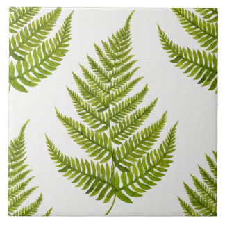 Watercolor Fern Pattern Tegeltje