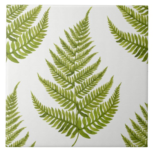 Watercolor Fern Pattern Tegeltje (Voorkant)